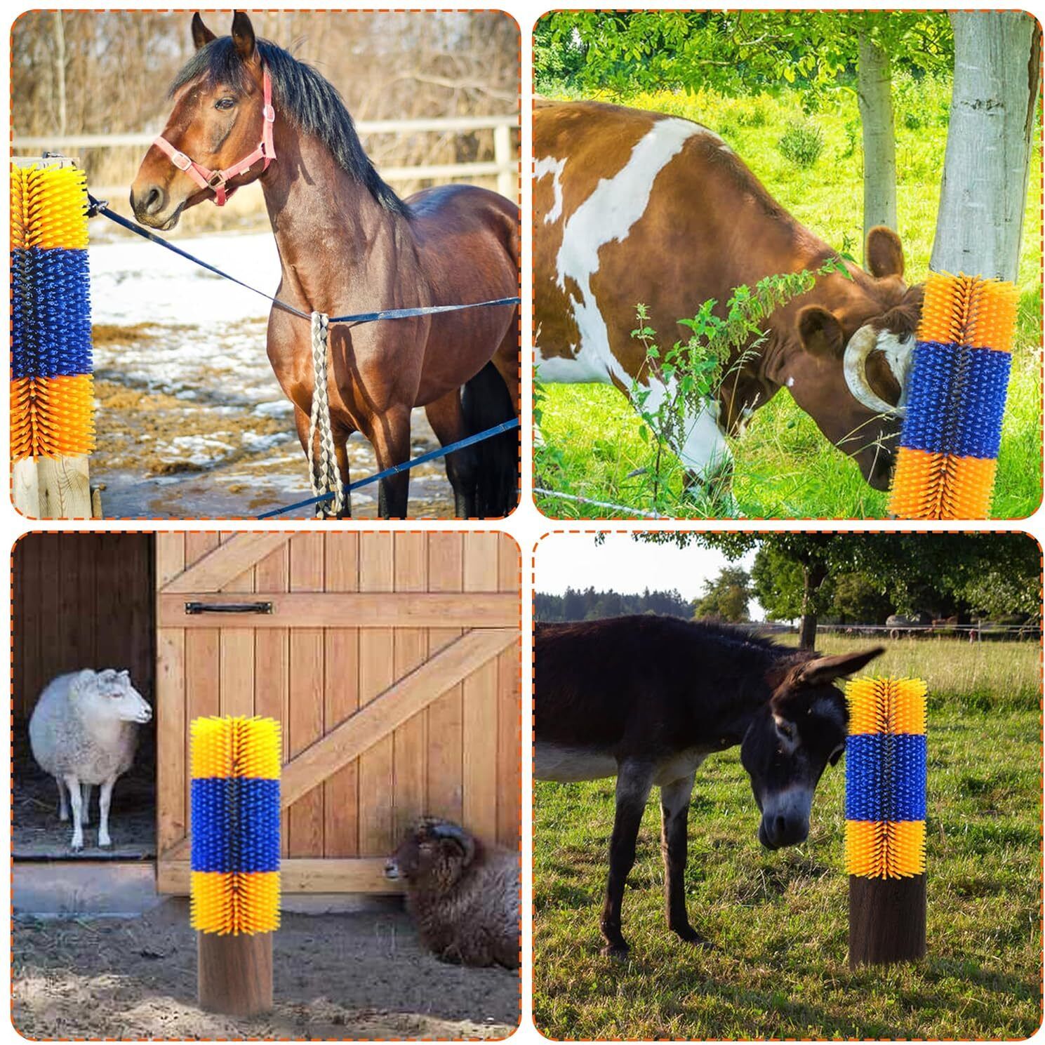 Horse Grooming Kit