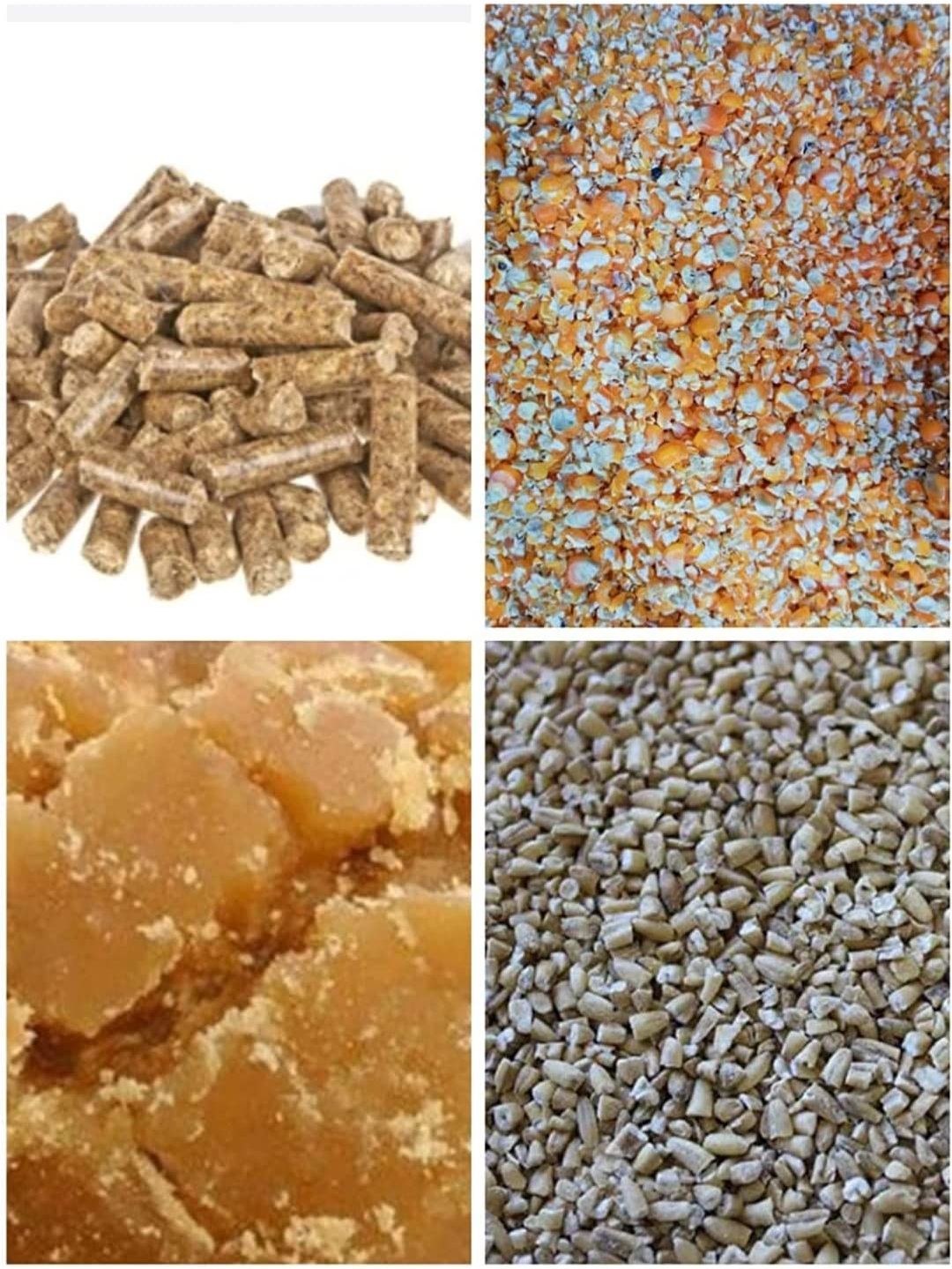 Oat Hay-image-18
