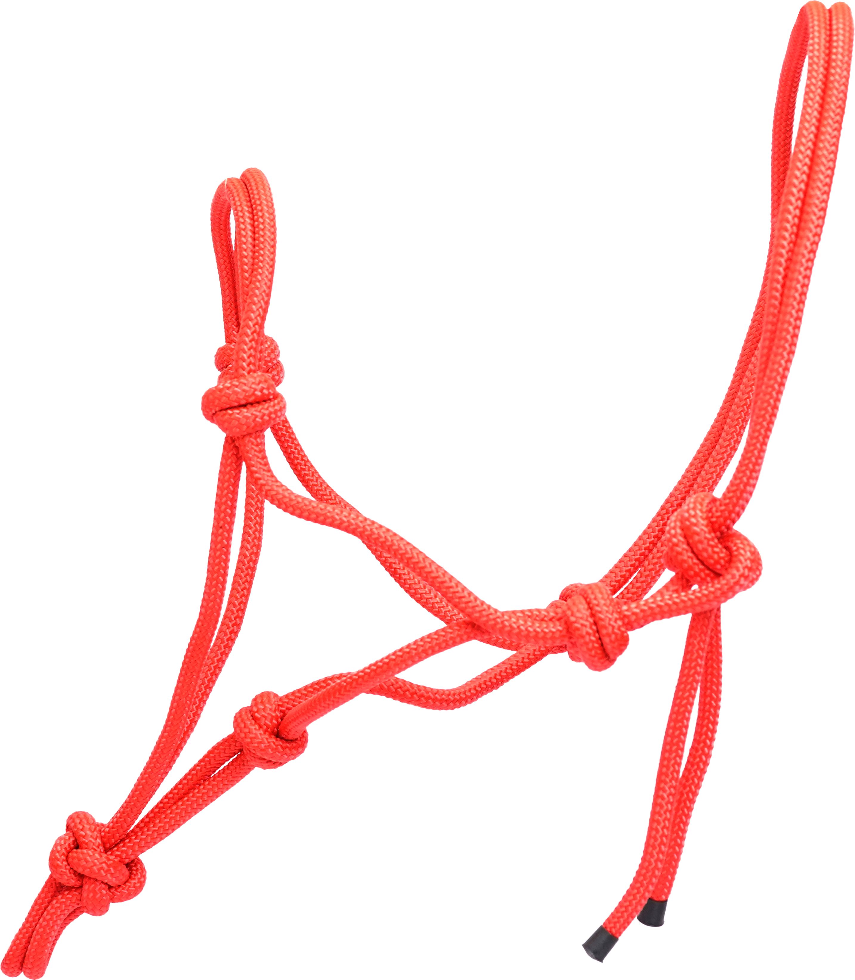 eqous Horse Lead-picture-25