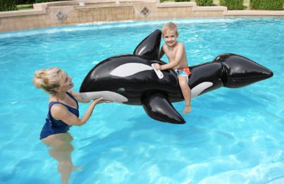 66" Little Whale Ride-On – Co-Op Superstores Inflatable Pool Accessory-image-42