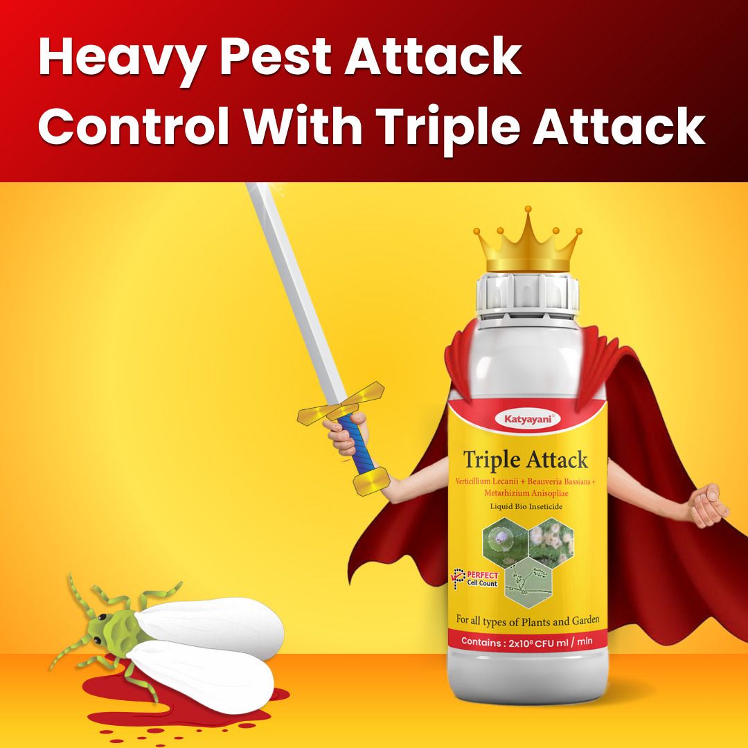 katyayani Triple Attack | Used for protection of plants-picture-26