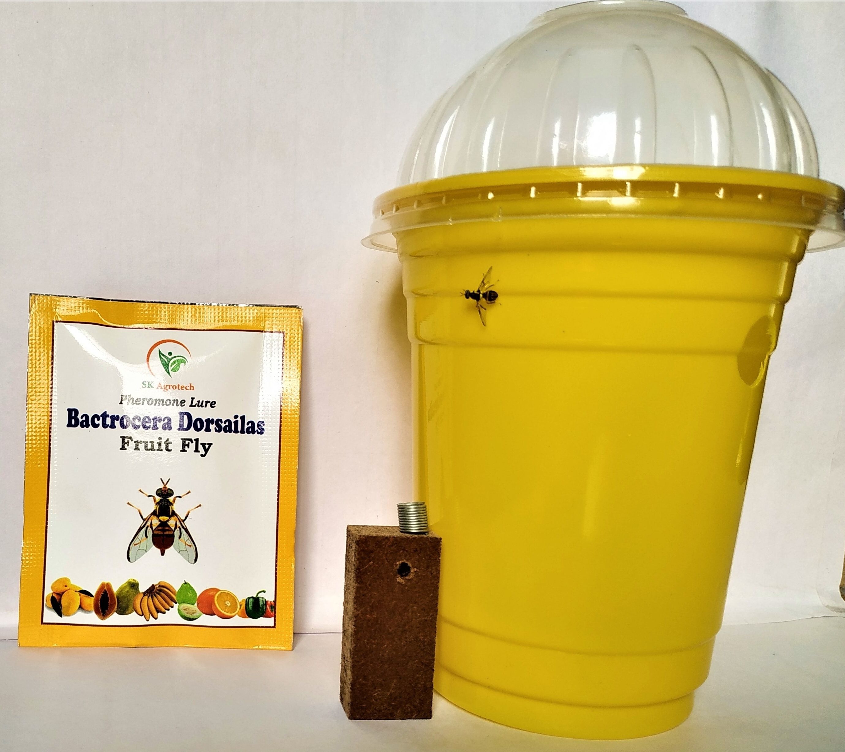 Bactrocera Dorsailas - Fruit Fly Pheromone lure & Trap-image-1