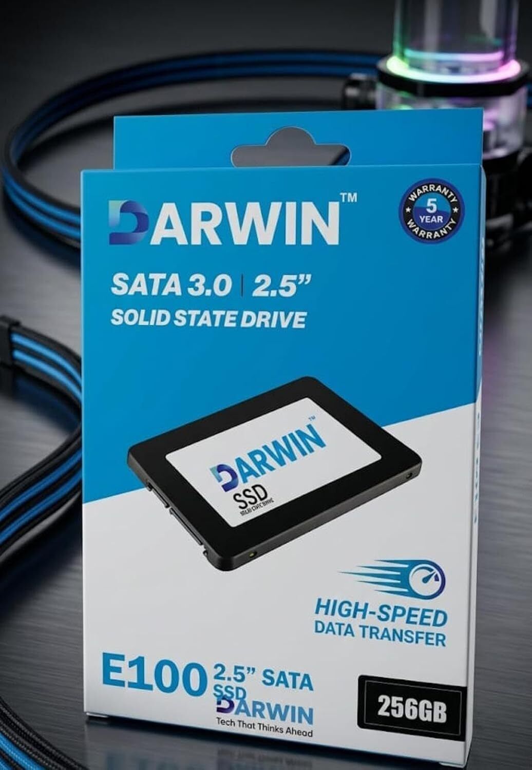 Darwin SSD 256 GB Desktop, Laptop, All in One PC's Black SATA Internal Solid State Drive (SSD) (E100)-image-6