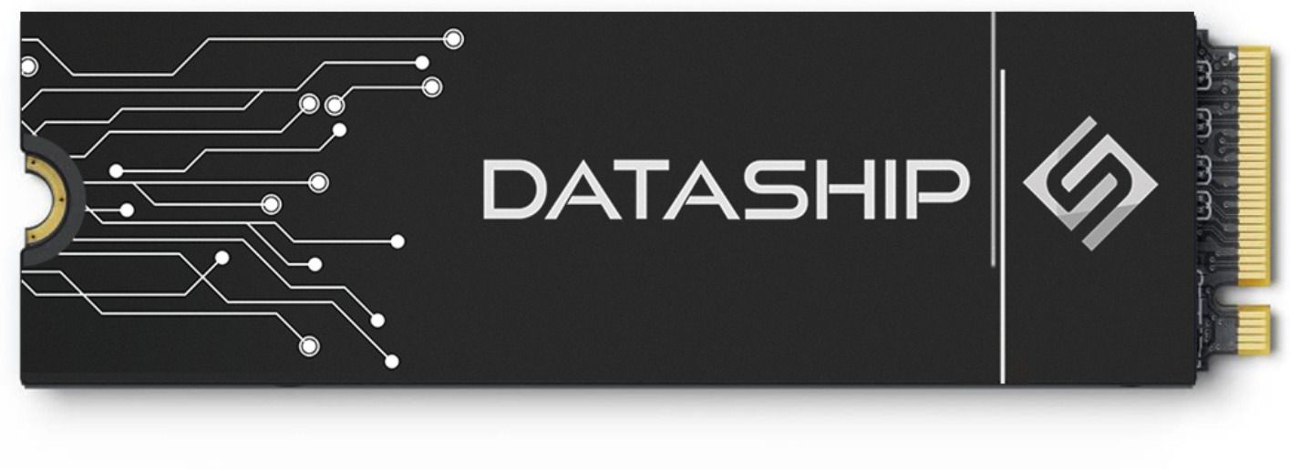 Starkway DATASHIP 8 TB Desktop, Laptop, Servers Black PCIe NVMe Internal Solid State Drive (SSD) (DATASHIP8TB)-picture-33