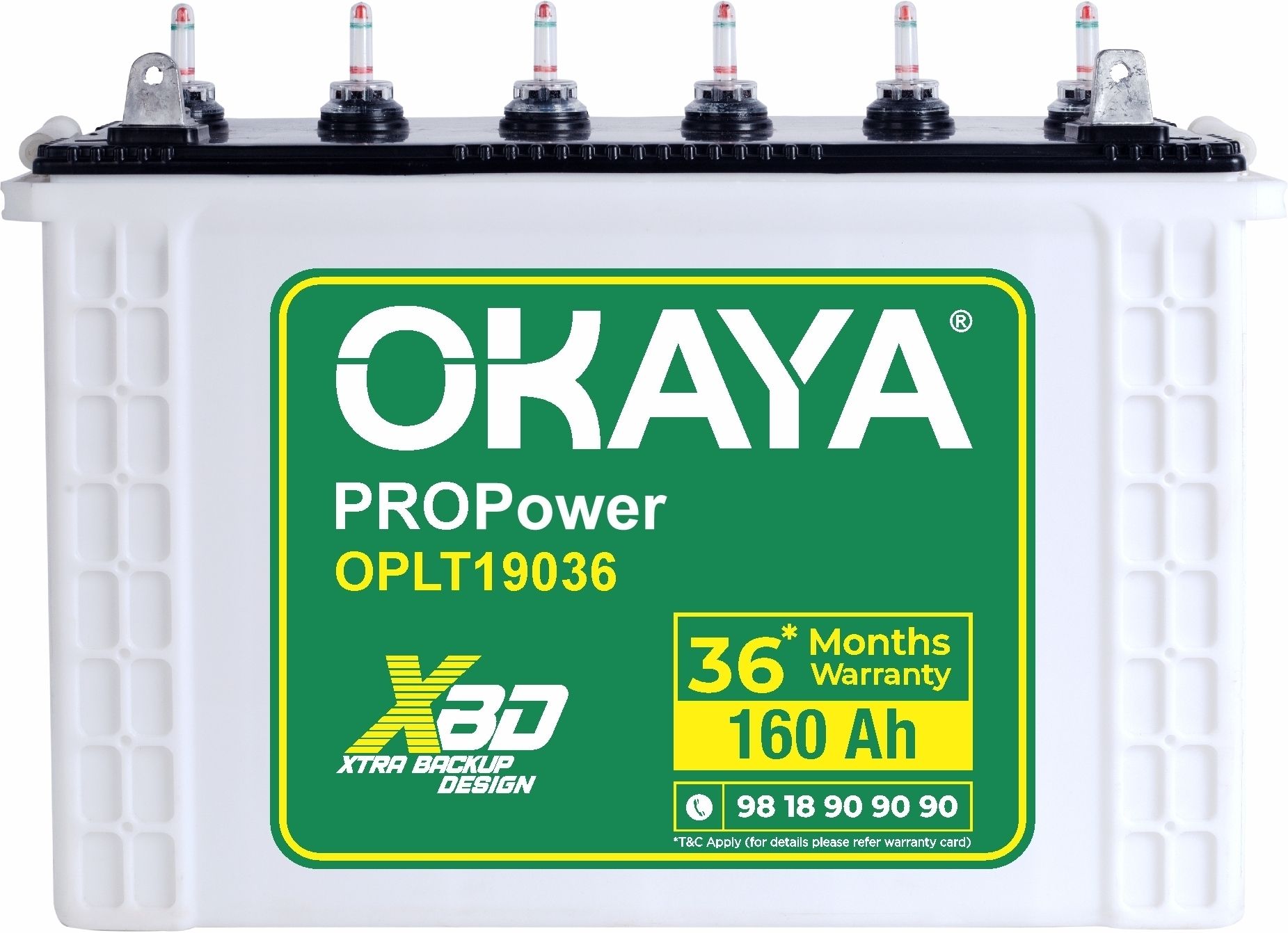 OPLT19036 Tubular Inverter Battery