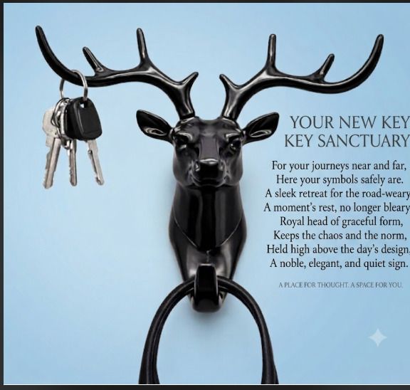 avinashay Plastic Key Holder-picture-48