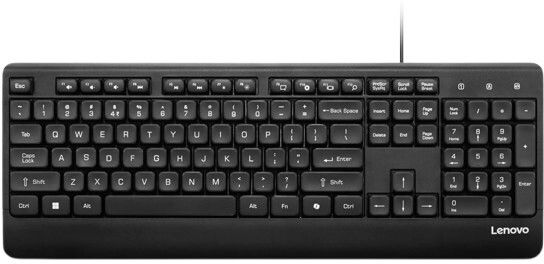 Lenovo 110 USB-A Wired Keyboard Wired USB Standard Desktop Keyboard Compatible with Desktop-image-29