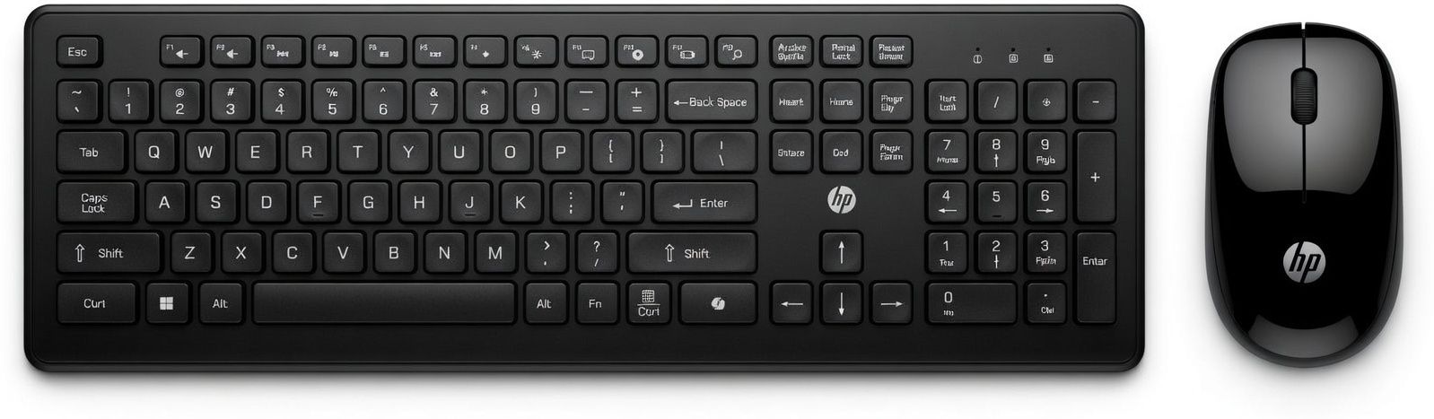 HP 115 Wireless Standard Laptop Keyboard Compatible with Desktop, Laptop, Mac-picture-20