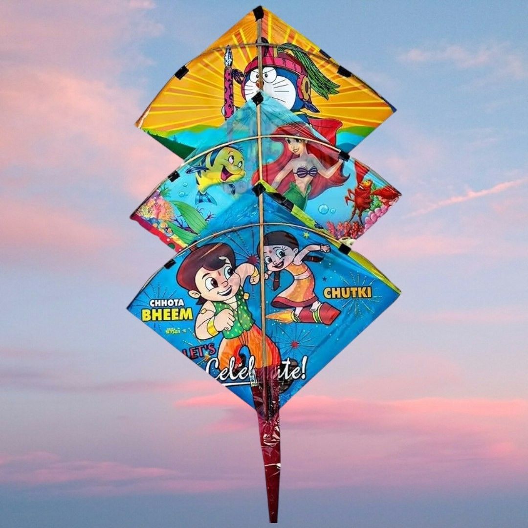 fly karo Rectangular Ponia Kite-picture-13