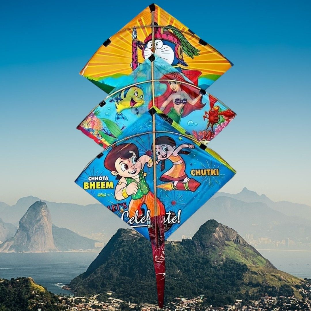 Rectangular Ponia Kite-image-37