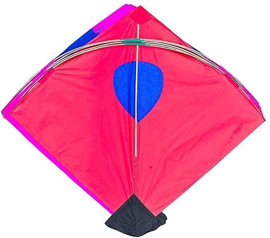 flymanta Rectangular Adadiya Kite-picture-15