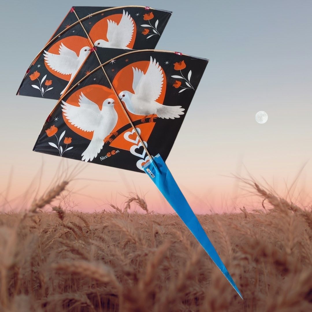 Rectangular Ponia Kite-image-41