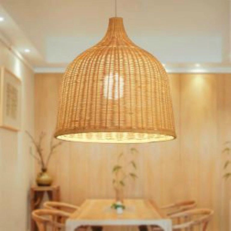Alexa Cane lampshade Hanging Lights (Pendant Lights) Lamp Shade-image-39