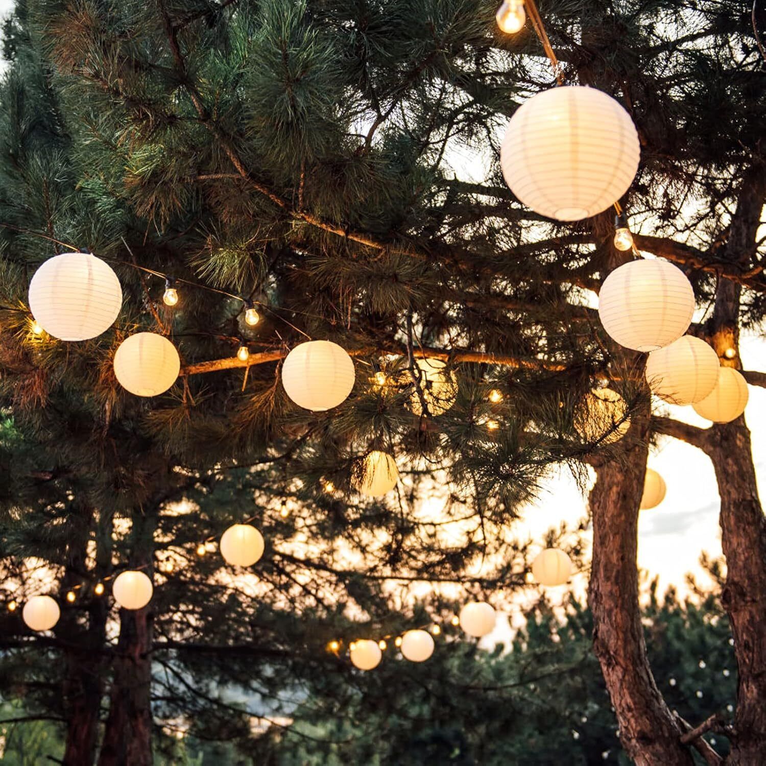 shuang you White Paper Hanging Lantern Pack of 10 L (12 inch) 67 White Paper Hanging Lantern-picture-18