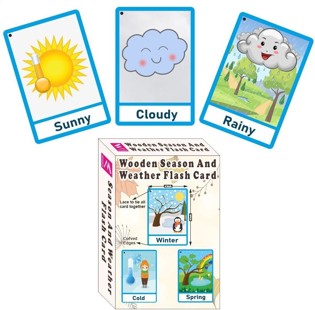 wissen Wooden (MDF) Season and Weather Learning Flash card with lacing thread.-picture-46