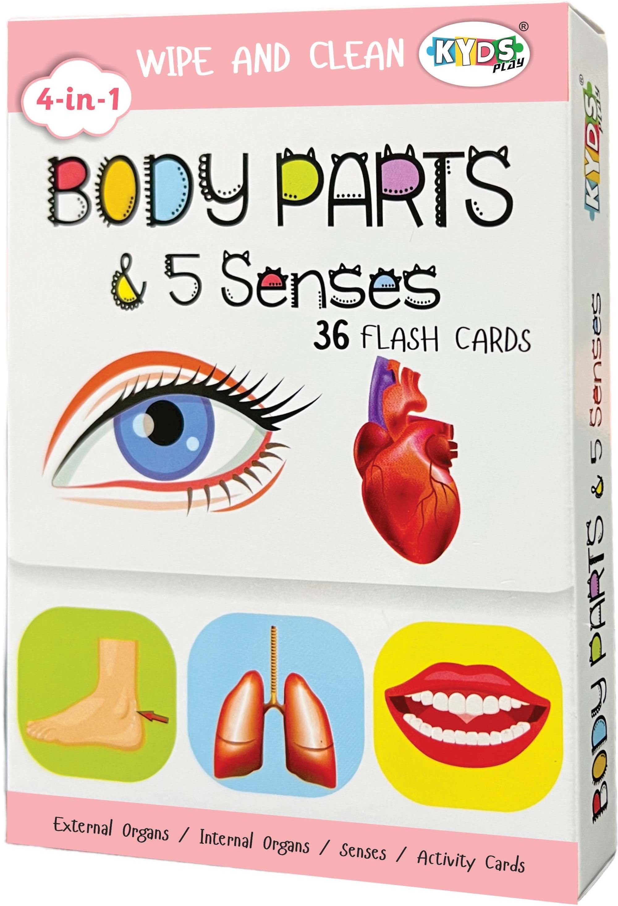 kyds play Body Parts & 5 Senses-picture-27