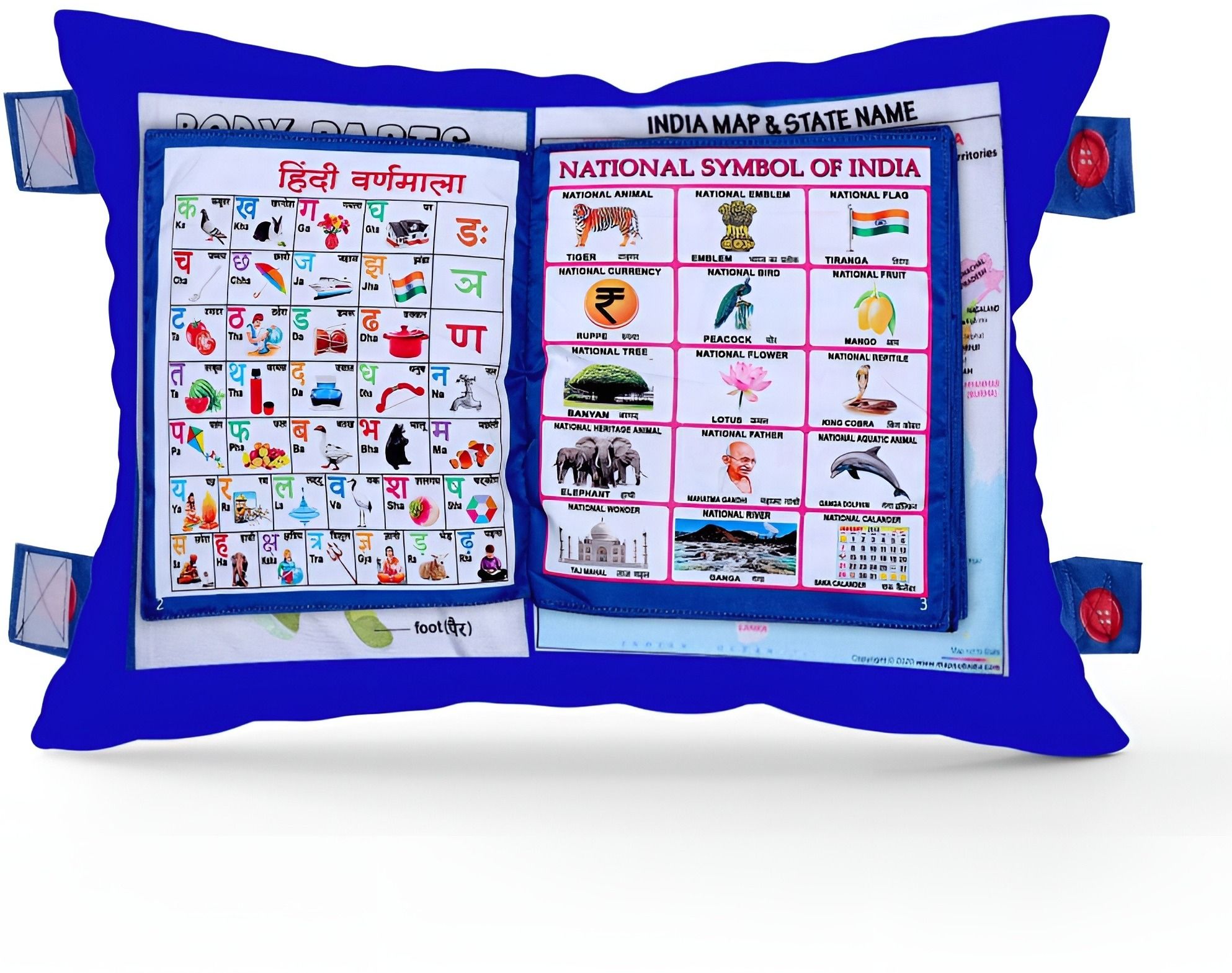 ruffo Soft Cloth Book for Kids – India, Months & Transport-picture-35