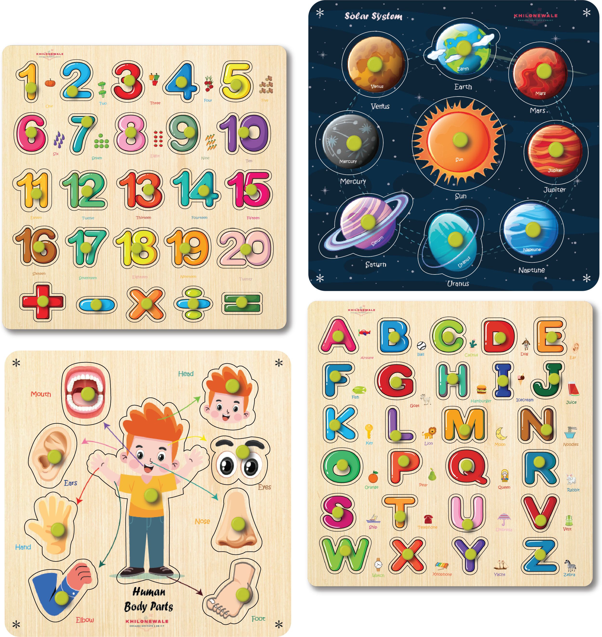 Wooden Knob Puzzle for Kids 3+ | Numbers, Alphabet, Body, Solar | 20x20 cm-image-31