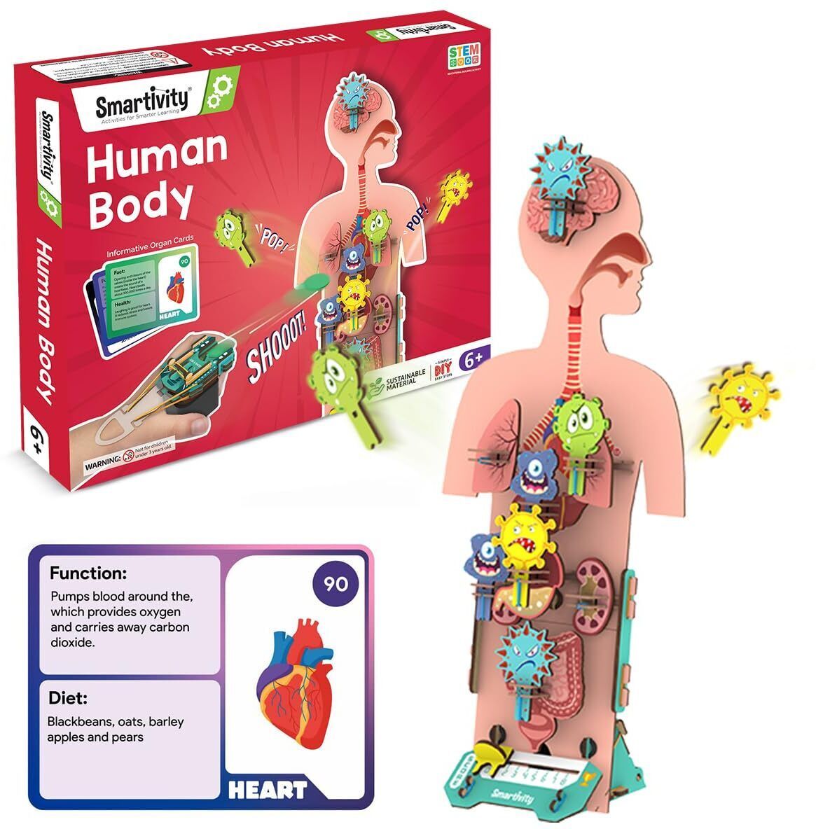 Human Body STEM DIY Fun Toys for Kids 6 to 12 Years