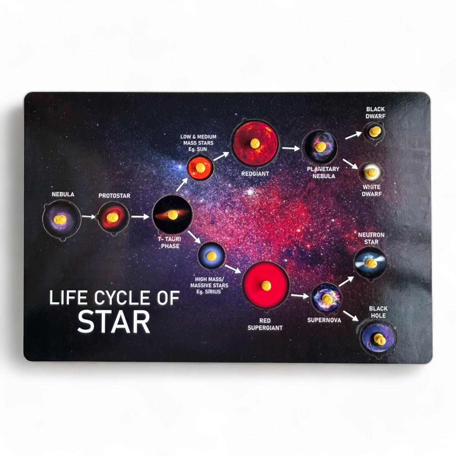 kiddiwinks Life Cycle Of Star-picture-39