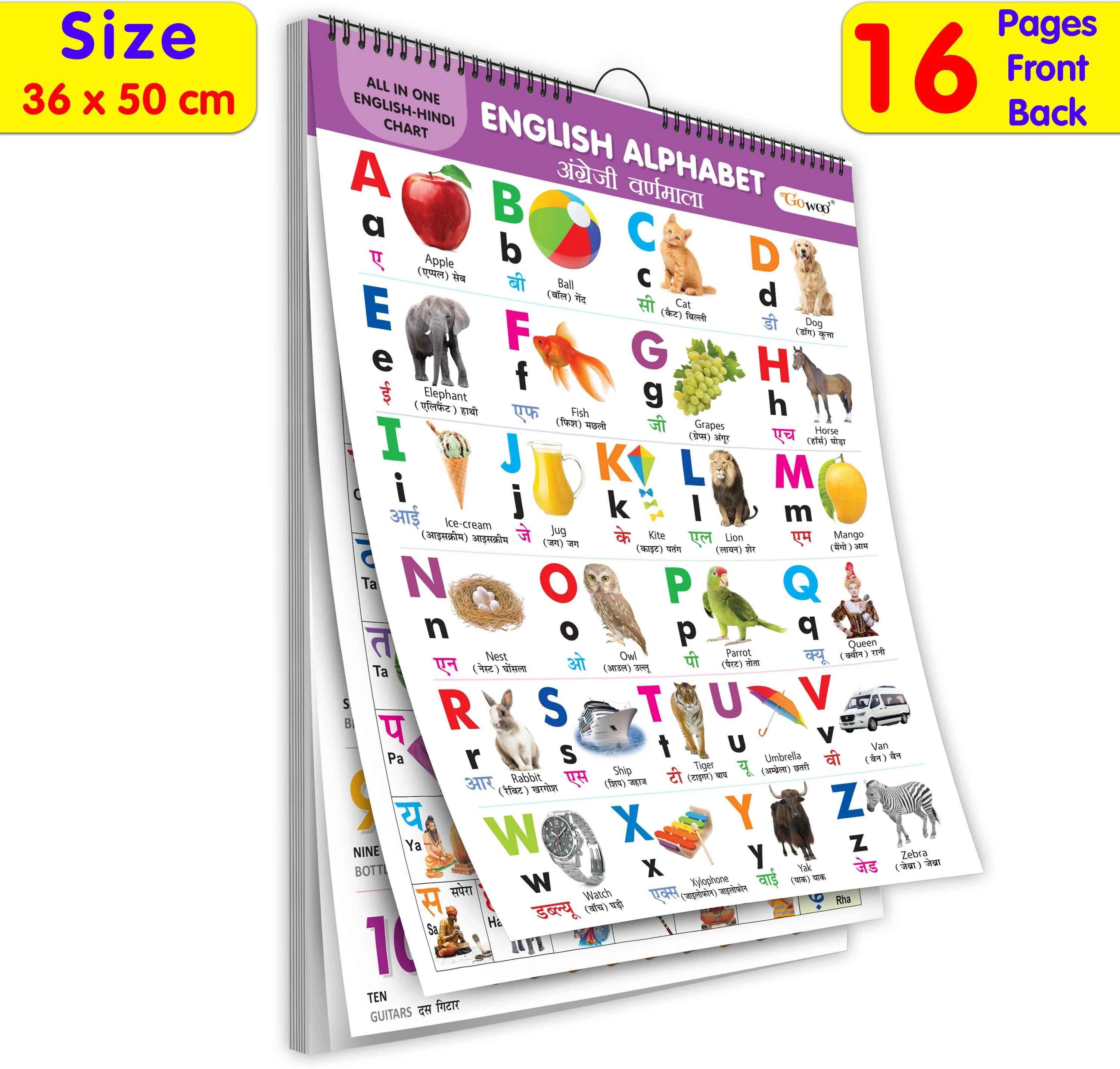 ENGLISH-HINDI Chart For Kids (16 Charts ) Children Spiral Wall Picture Chart-image-16