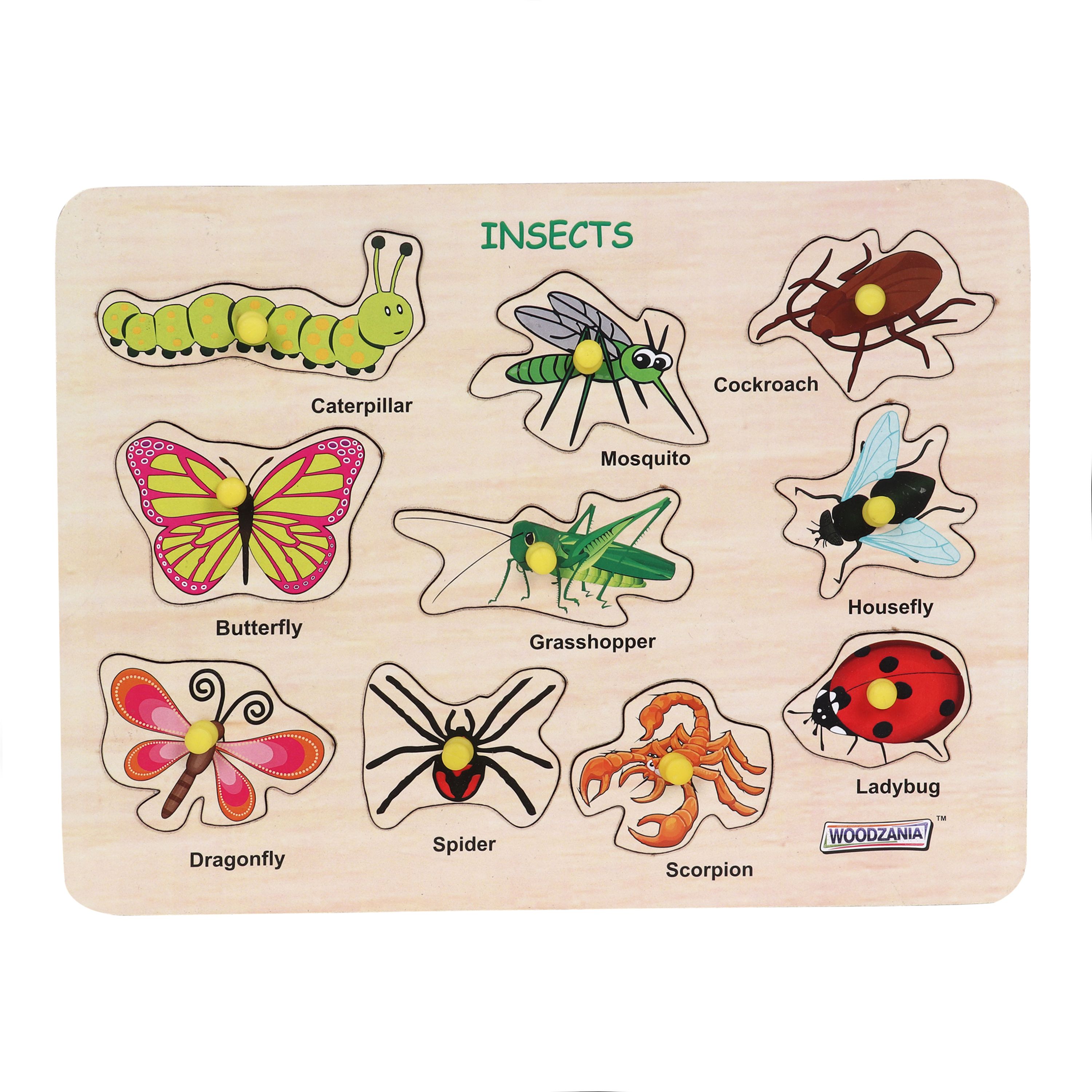 Wooden Insects Educational Tray with Knob