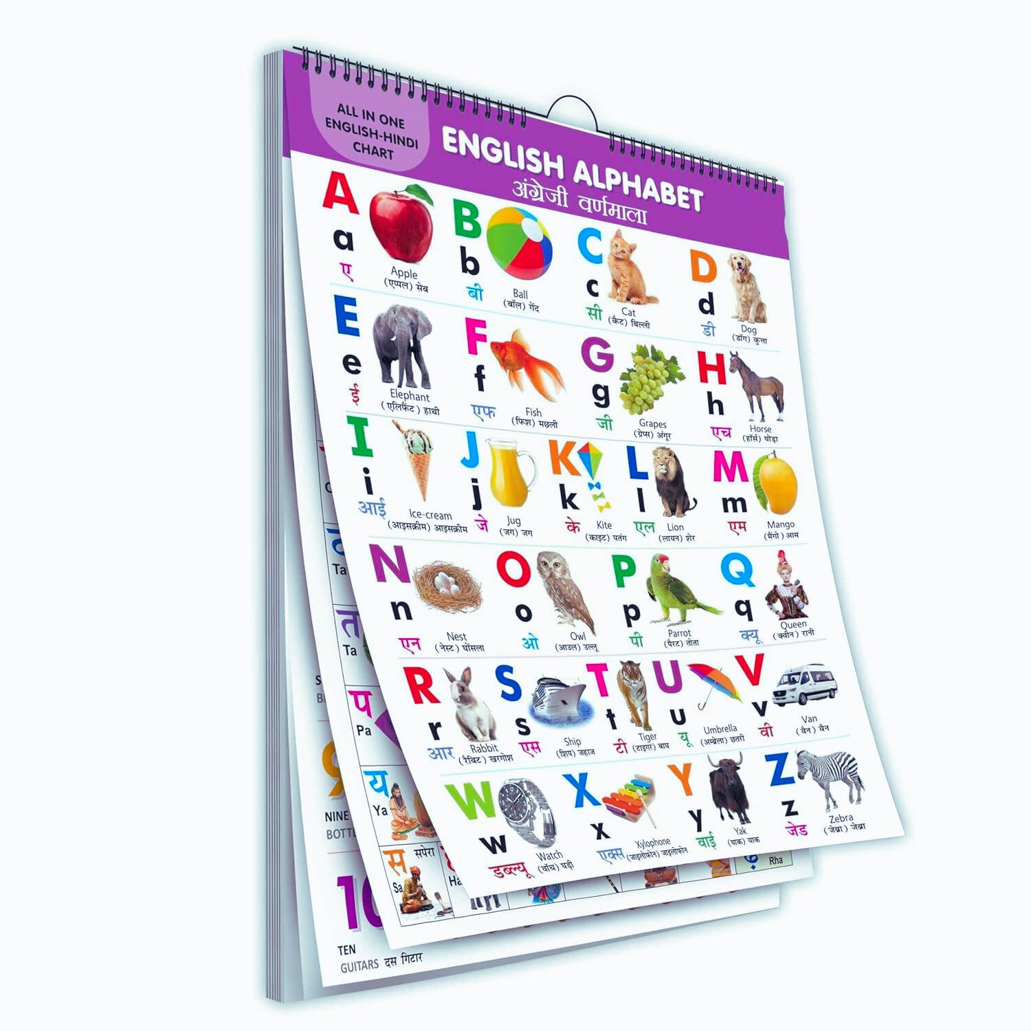 gamloid Top Selling All in one Pre-nursery Kids Educational picture Chart for toddlers-picture-14