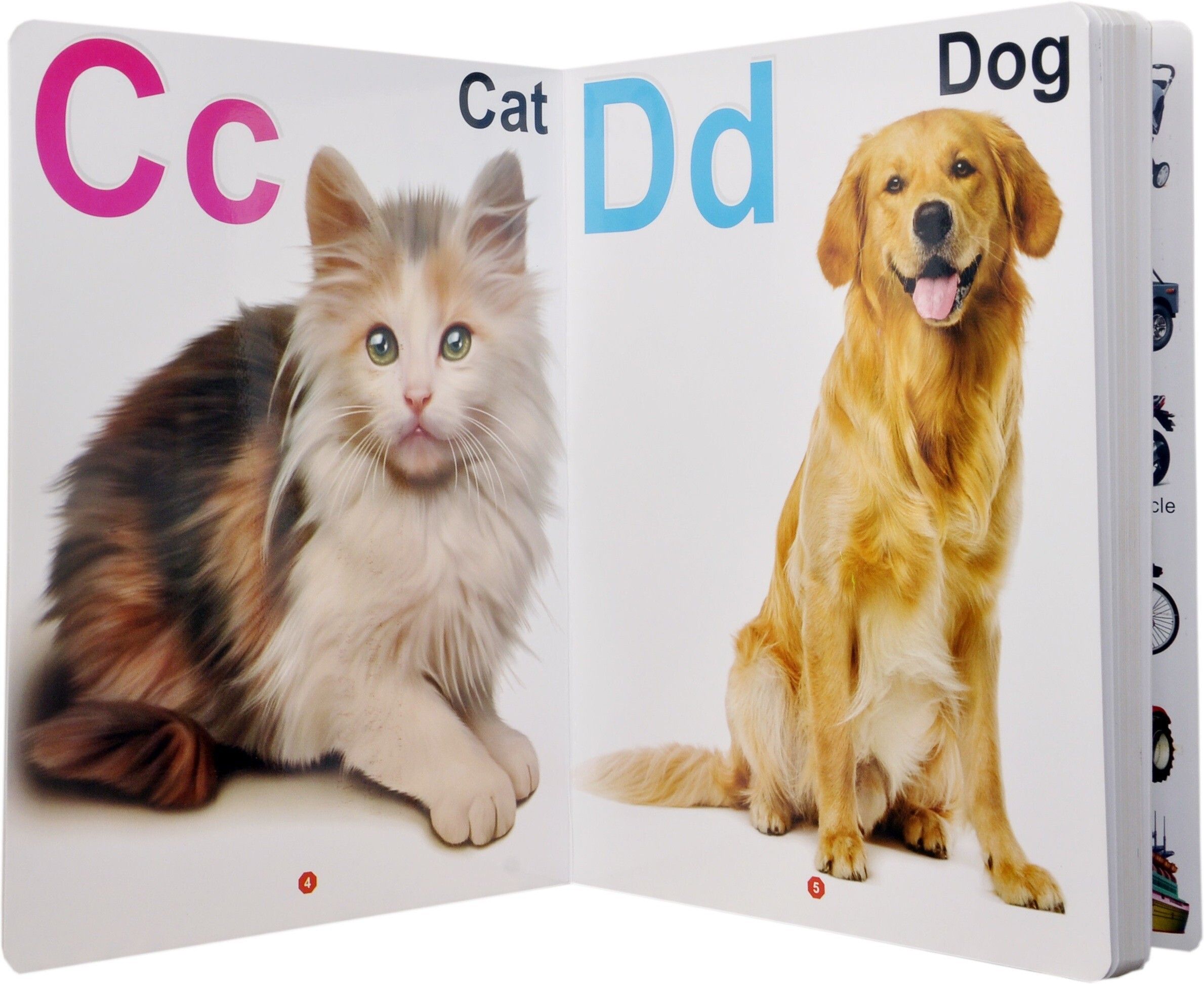 My First Board Book Of Alphabet Single Picture Nursery Board Book Of Children