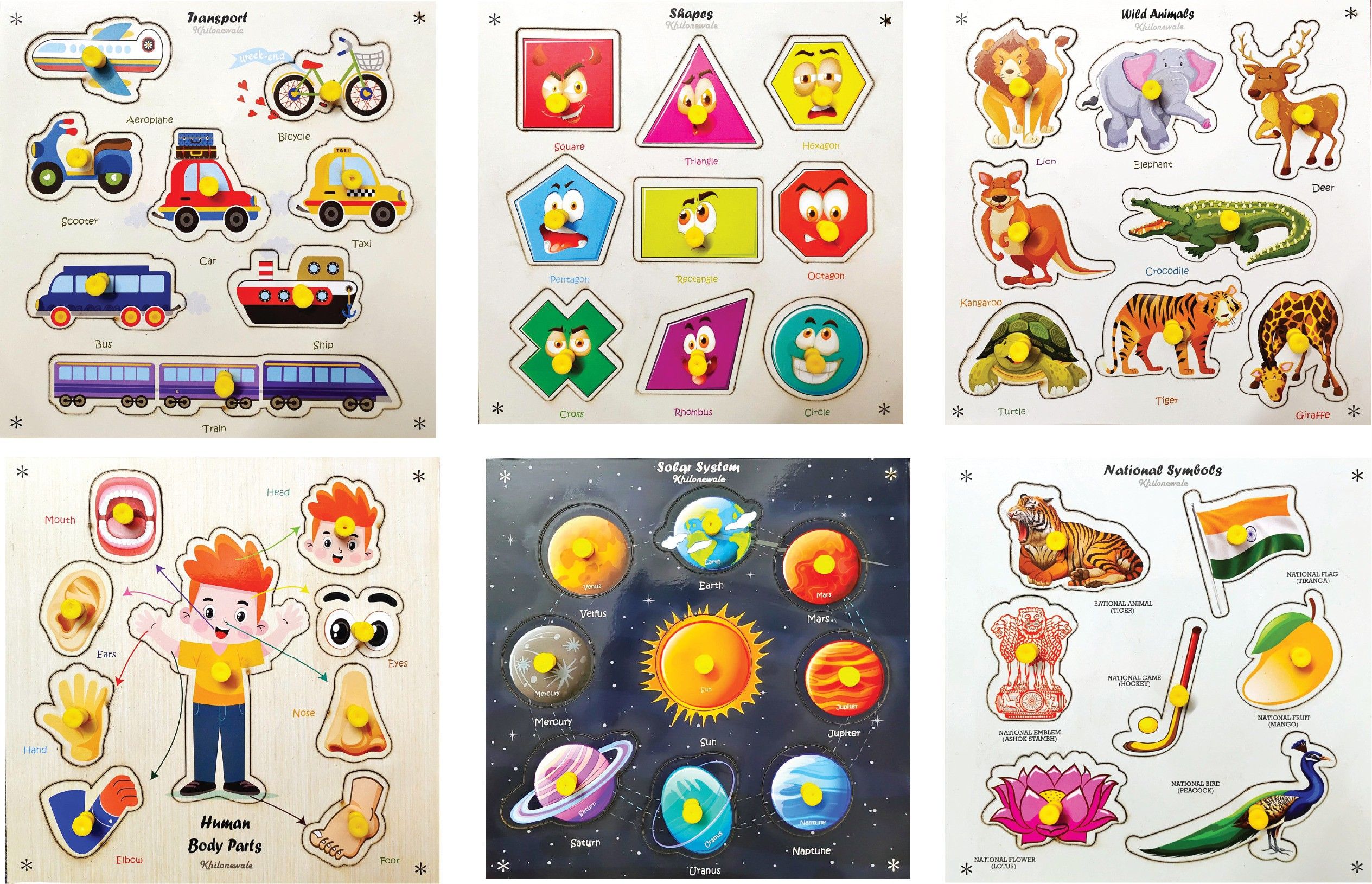 Body Parts, Solar System, Shapes, Animals, National Symbols Wooden Puzzle-image-1