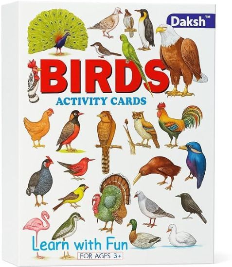 Birds Activity Cards for Children-image-12