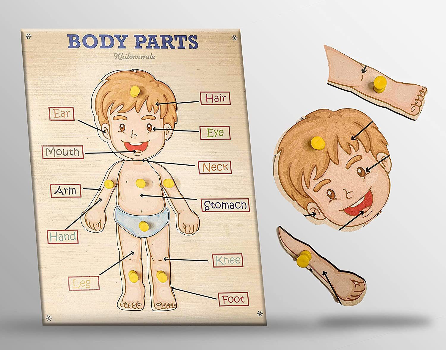 khilonewale Wooden Parts of body Puzzle Games and Learning Educational Board for Kids-picture-8
