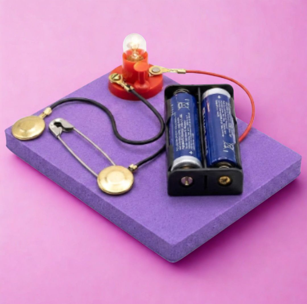 erhindia DIY Electric Circuit STEM Science Experiment Working Model Kit Students-picture-26