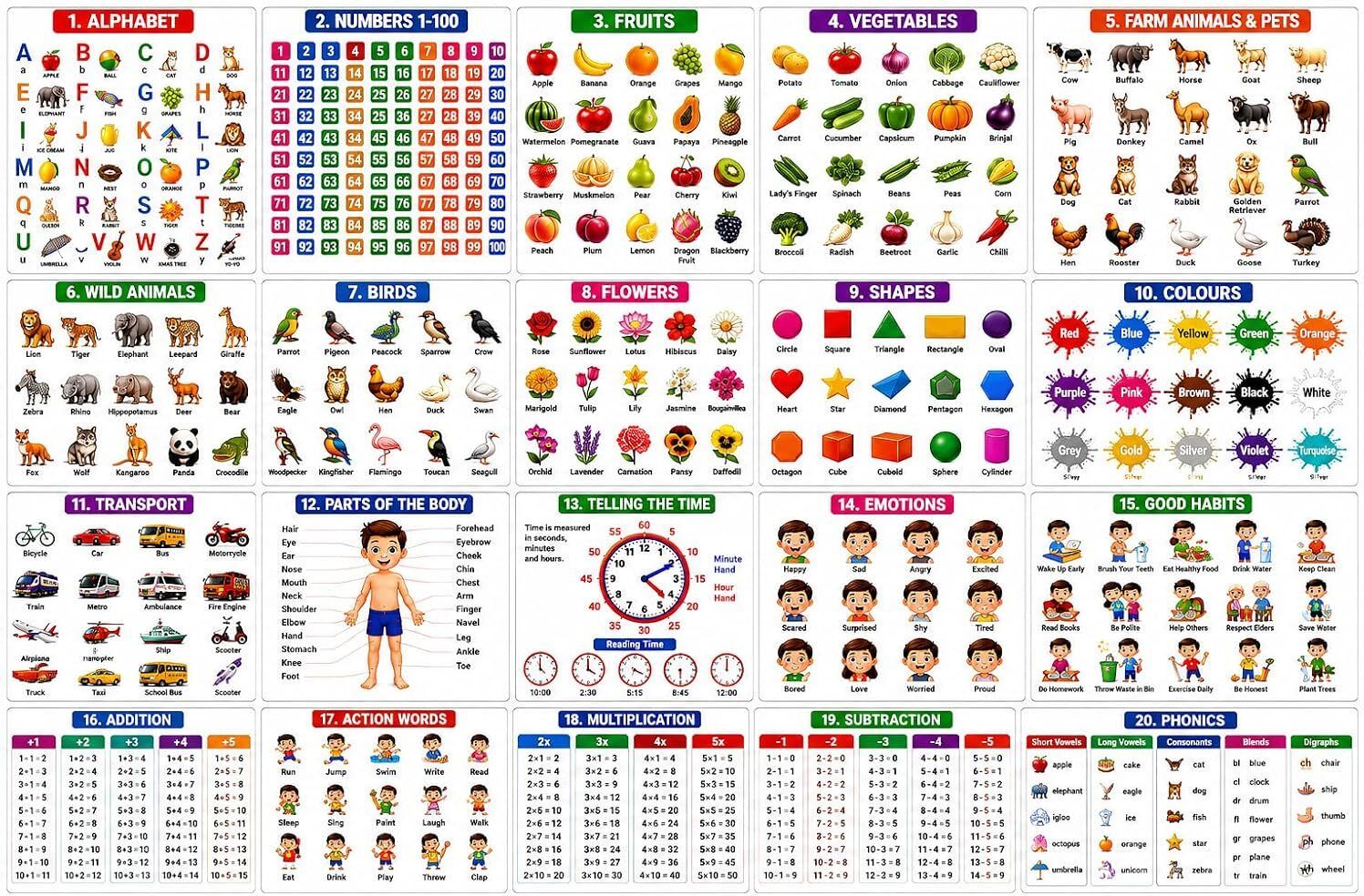 pmh 20 Charts in 1 Wall Calendar, 20 Topics, Children Spiral Picture Wall Chart-picture-14