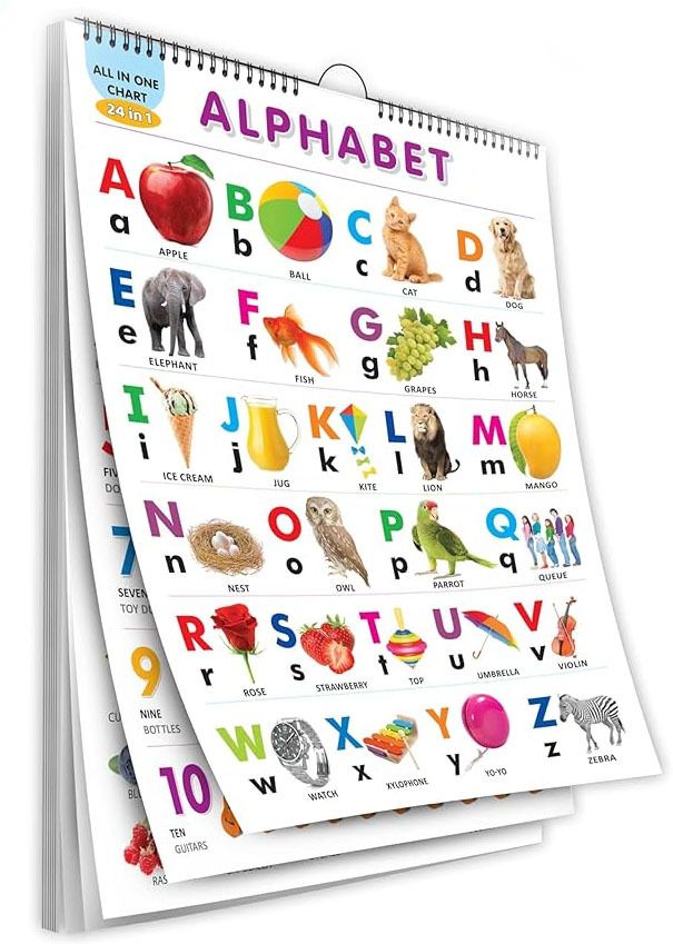 Low Price All in One Spiral Chart for Kids 16 Learning Topics Pictures Chart-image-6