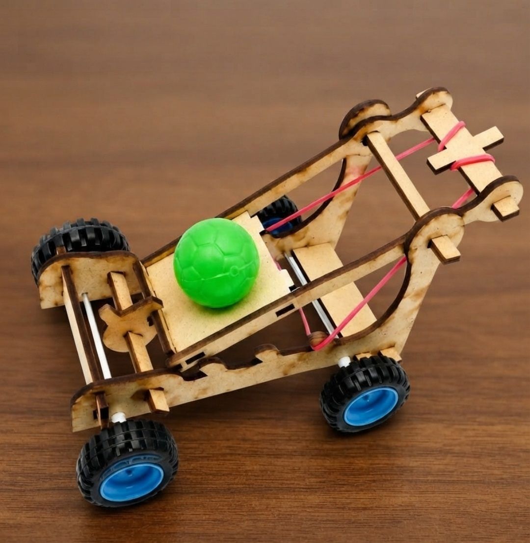 erhindia DIY Wooden Catapult Ball Shooter STEM Learning Science Project Working Model-picture-10