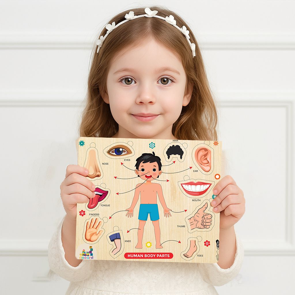 fayme international Learning & Educational wooden Human bodypart with best puzzle for kids-picture-12