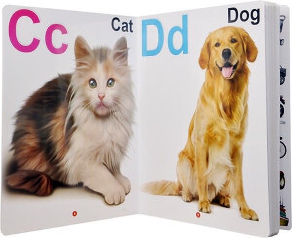 All in one Plastic Board Book for Pre-nursery to Primary Kids Edition : 9