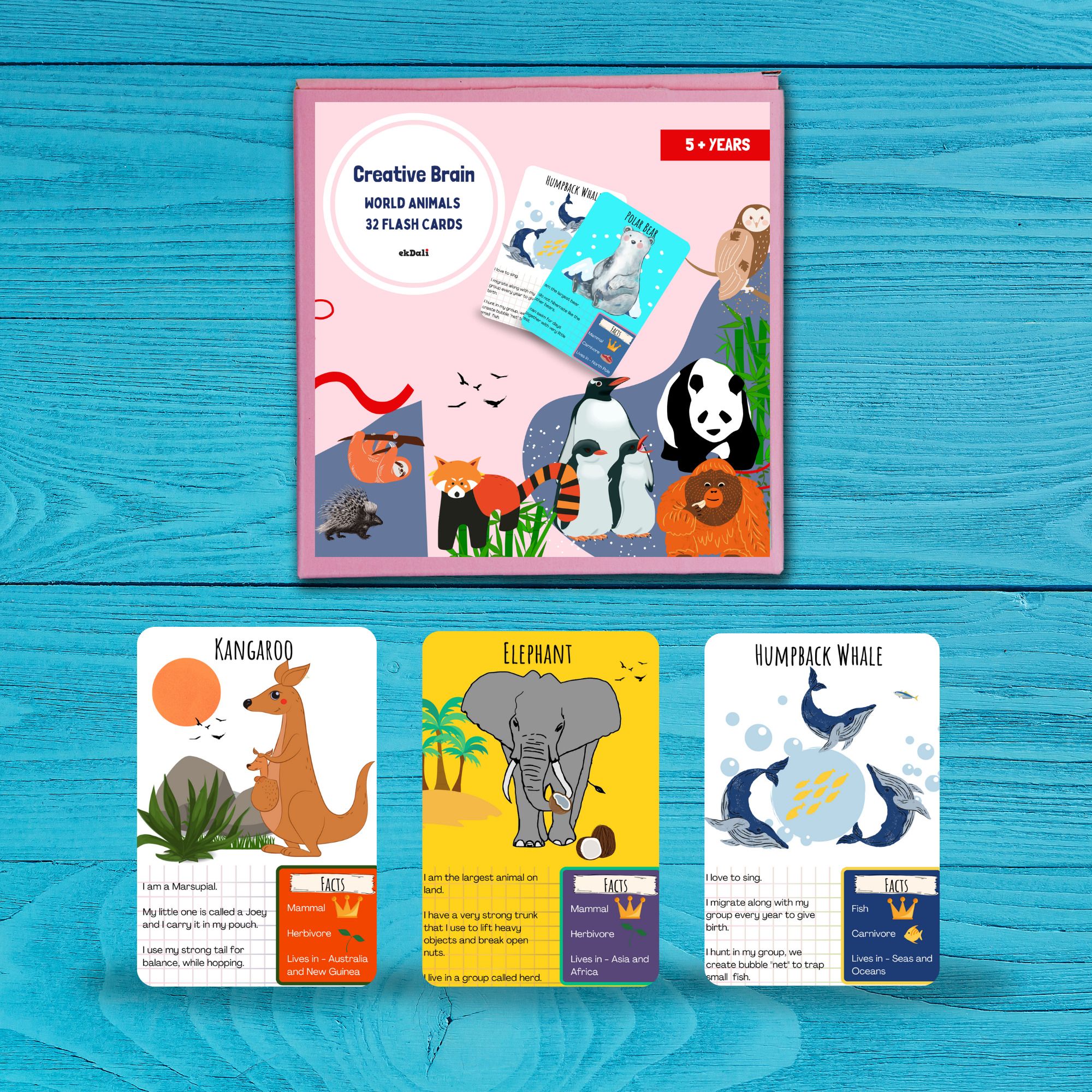 Animal Friends Learning Flashcards: Fun and Educational for Kids-image-16