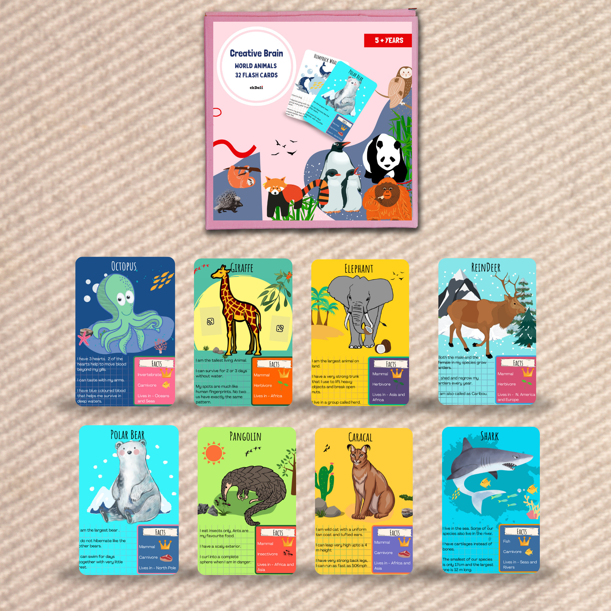 ekdali Animals Flashcards: Teach Your Child with Fun Illustrations image 1