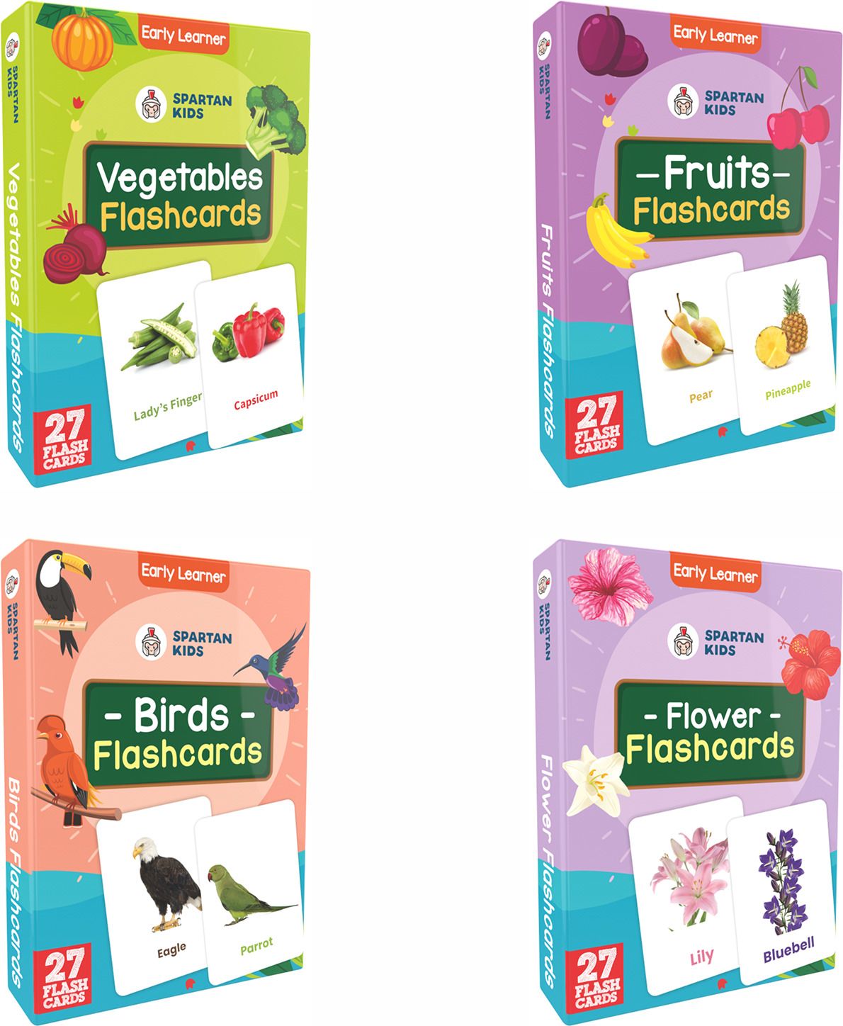 Bird,Vegetables,Flower and Fruit Flash Cards For Kids(set of 4)-image-23