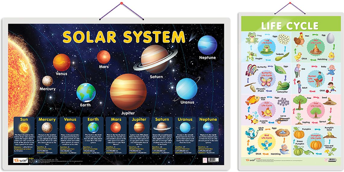 Pack of 2 Solar System and Life Cycle Educational charts