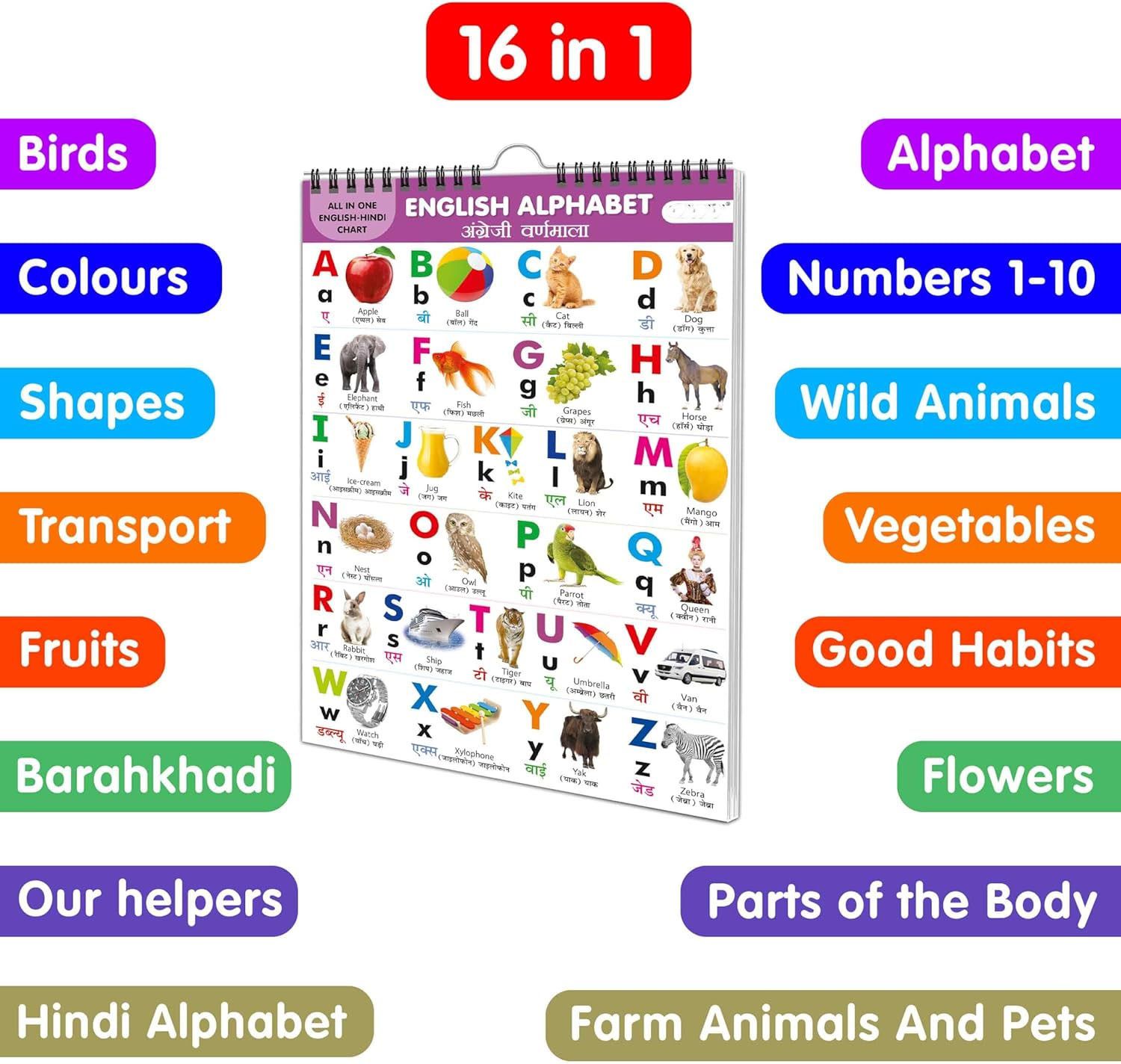 gamloid All in one Pre-nursery Primary Kids (My Favourite Big Spiral Wall Picture Chart-picture-23