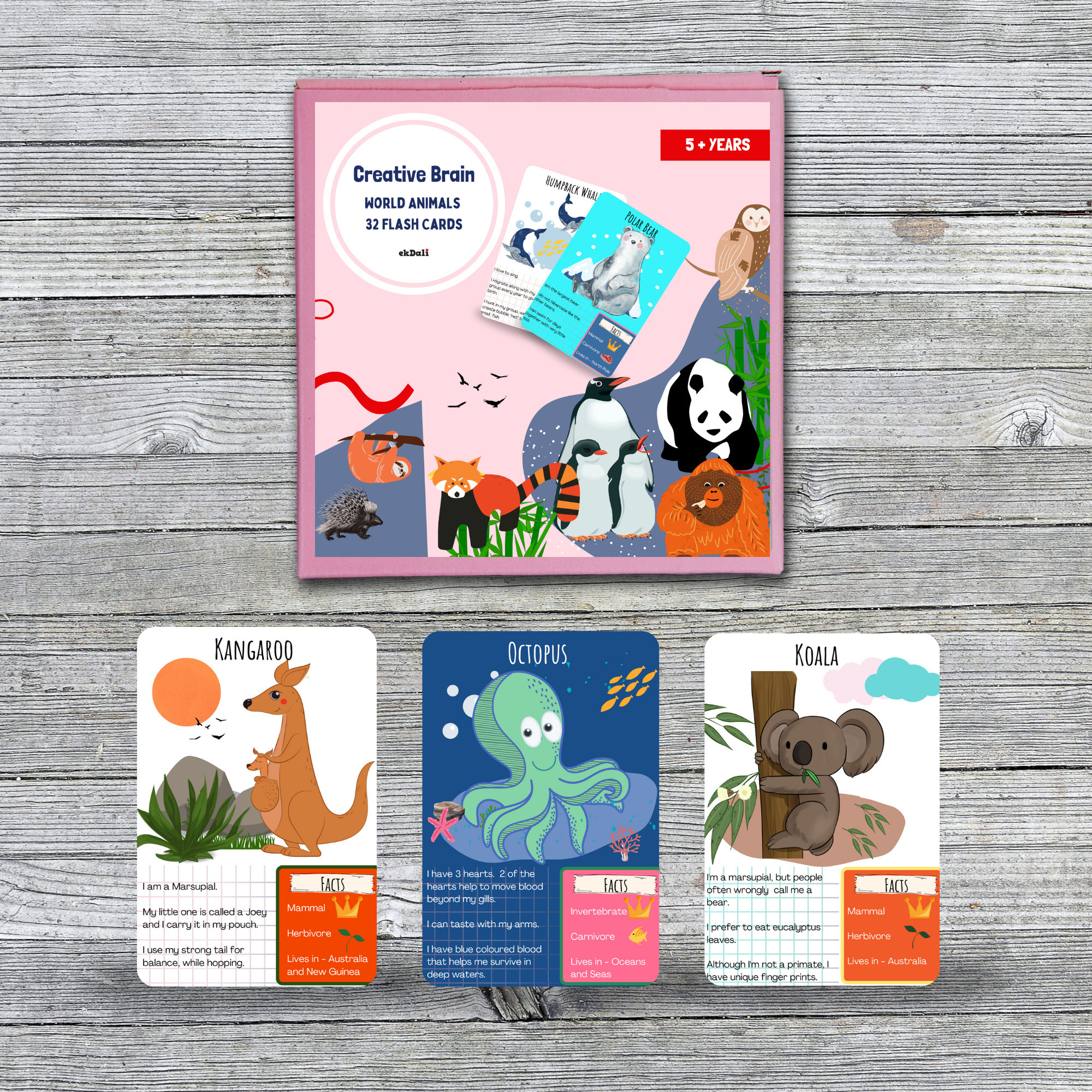 ekdali Animal Fun Flashcards: Enhance Learning with Colorful Images image 1
