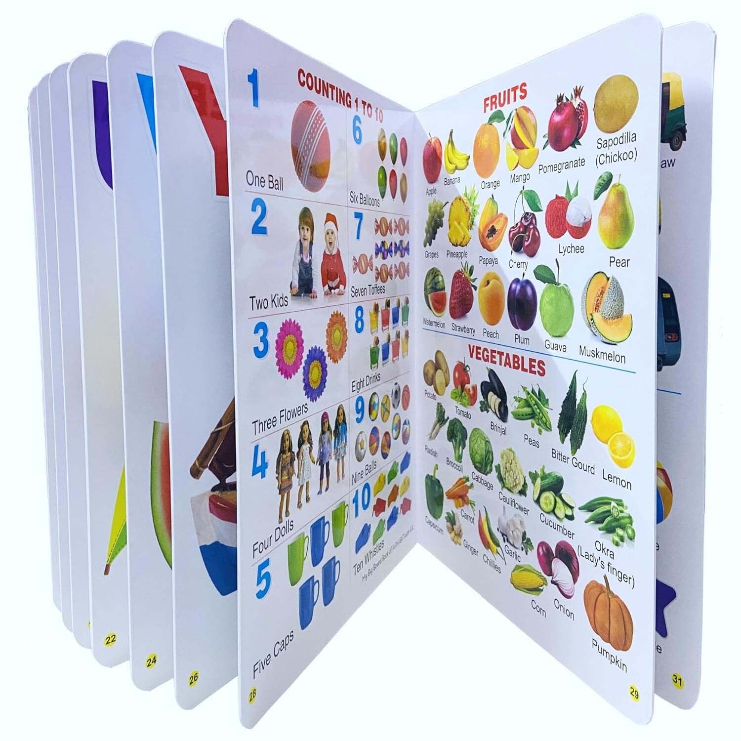 elexn New Quality All in one book for kids,My First book kids Early Learning Picture-picture-26