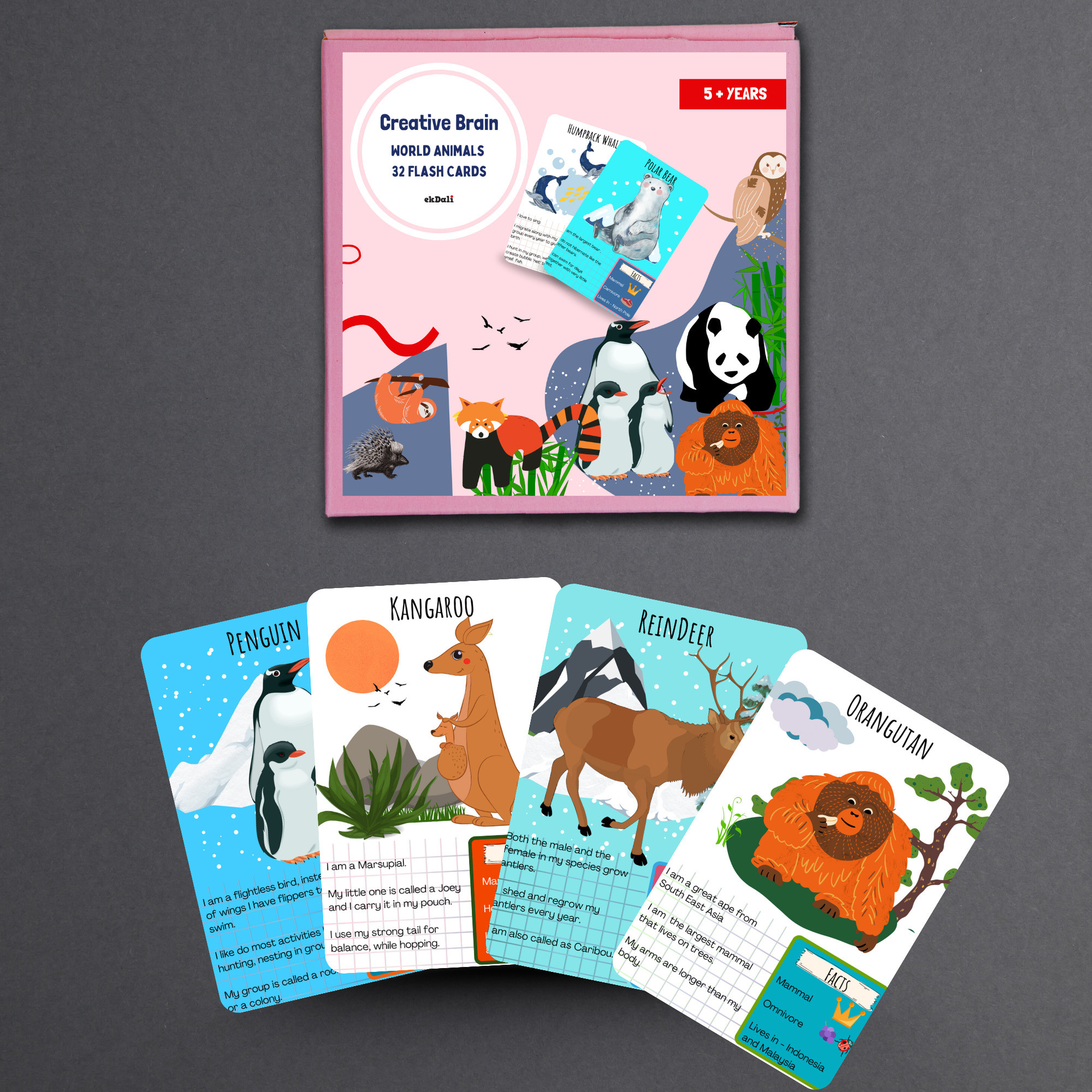 ekdali Kids' Flashcards: Learn About Animals, Engaging and Colorful image 1
