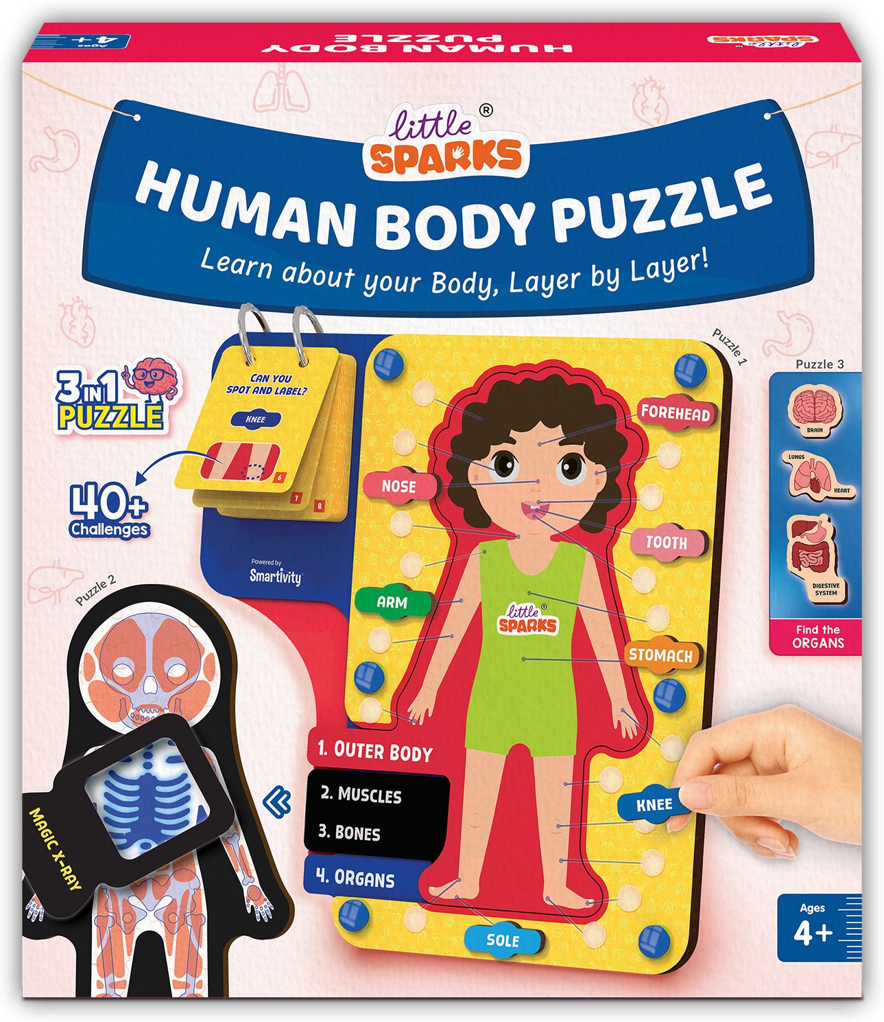 smartivity Human Body Puzzle for Kids 4-8 Years | 3in1 Anatomy Toy with Magic X-Ray-picture-33