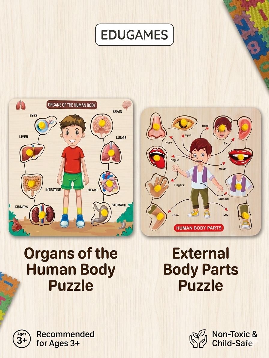 alafi Wooden Human Body Parts & Internal Organs Puzzle Combo-picture-47