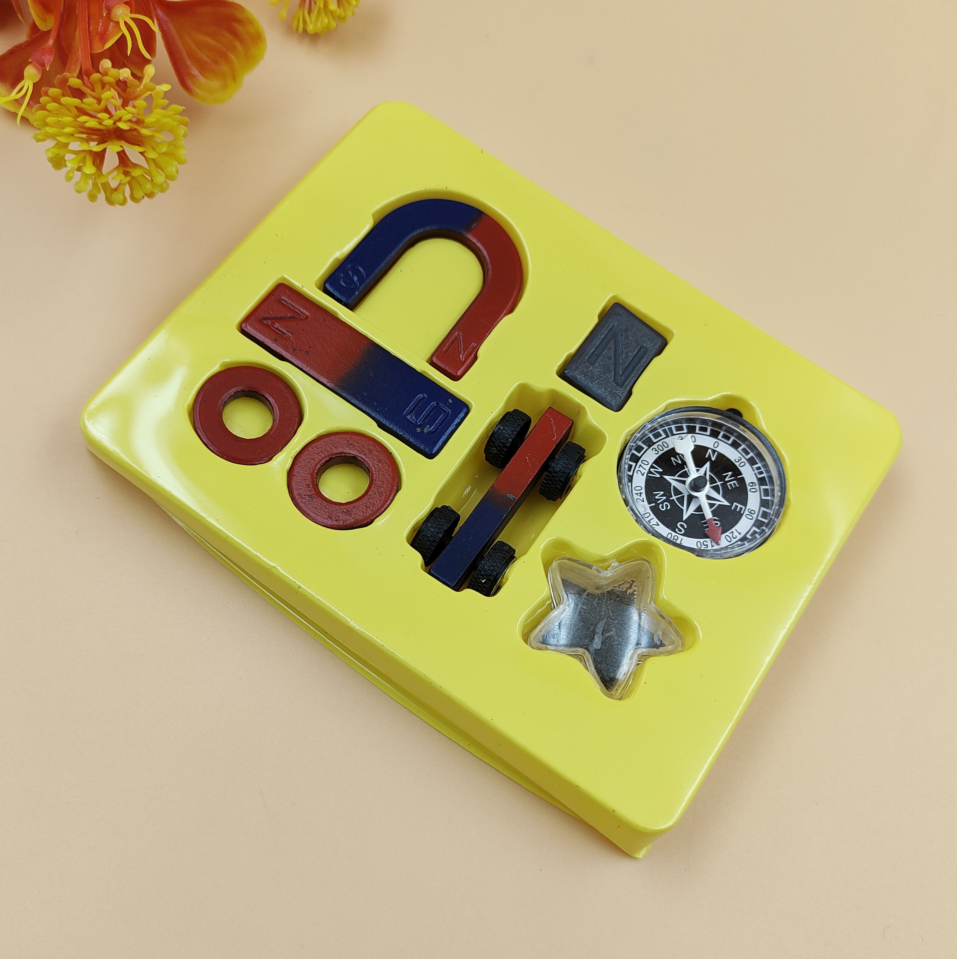 paper bear Magnetic Field Learning Starter Kit-picture-20