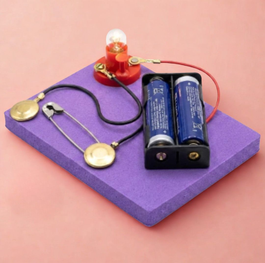 erhindia DIY STEM Science Project Simple Electric Circuit Working Model Students-picture-24