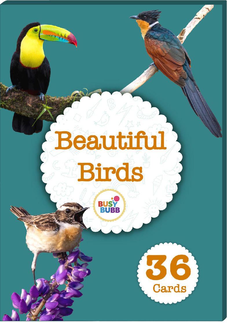 Beautiful Birds Flash Cards | 36 Laminated Cards